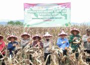 Kapolres Samosir Pimpin Panen Raya Jagung Serentak Kuartal III Tahun 2025 di Kabupaten Samosir