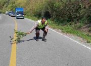 Personel Pos Yan Simpang Gotting Polres Samosir Mediasi Kecelakaan di Jalan Umum Desa Boho, Jalan Kembali Aman Dilalui